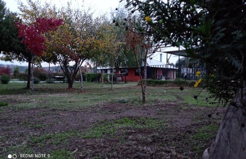Yumbel House | Cabañas Tercer Tiempo Yumbel