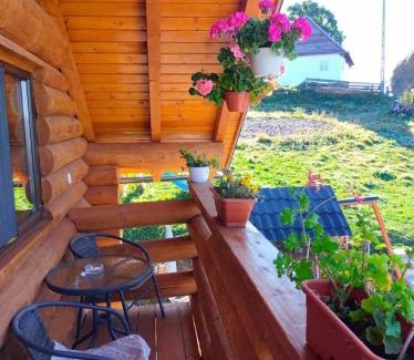 Garda de Sus Cabin | Cabana Colț De Munte