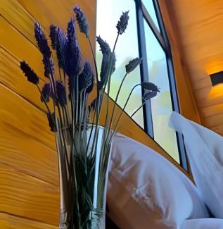 Campos do Jordao Apartment | Cabana Tempo | 2h30 SP | Vista Única | Cama King