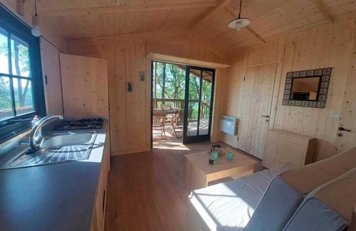 Saint-Cirq-Lapopie Cabin | Cabane 3 étoiles - Piscine - efchbi