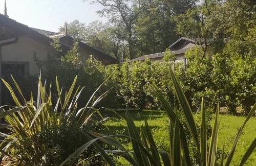 Plage d'Argeles House | Cabane chic et romantique SEMILLON près de Bordeaux