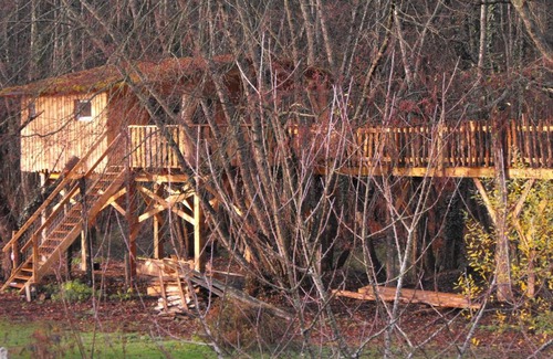 Allons Other | Cabane des cerfs