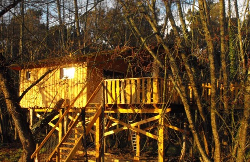 Allons Other | Cabane des cerfs