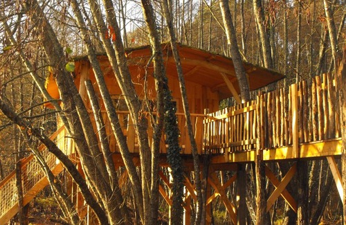 Allons Other | Cabane des cerfs