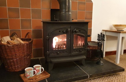 Llangybi Cottage | Cabin ∙ 1 bedroom ∙ 2 guests