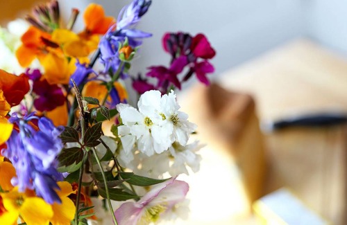 Winchelsea Cottage | Cabin ∙ 1 bedroom ∙ 2 guests