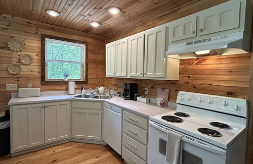 Lynn Garden Cabin | Cabin 1, Cozy Cottage with WiFi, Fireplace and Whirlpool Tub in Duffield, VA