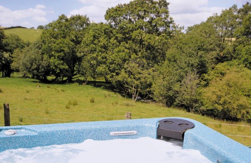 Penybont Cottage | Cabin ∙ 3 bedrooms ∙ 6 guests