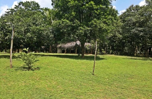 Habarana Cabin | Cabin - Eagles Wing's Guest House