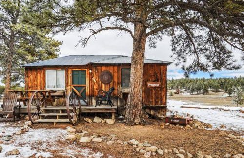 Lake George Ski Chalet | Cabin in Colorado NTL Forest