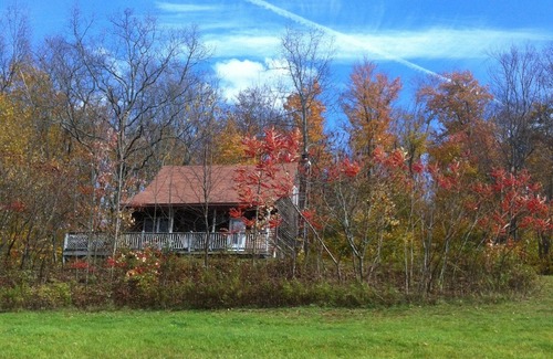 Susquehanna Cabin | Cabin on 4 acres near Elk Mountain/Dogs OK/Easy Drive from Philly and NYC