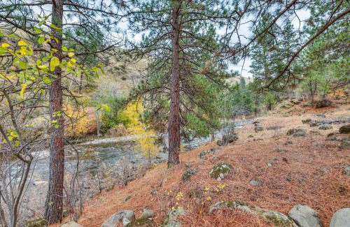 Idaho County House | Cabin on Little Salmon River about 10 Mi to Riggins!
