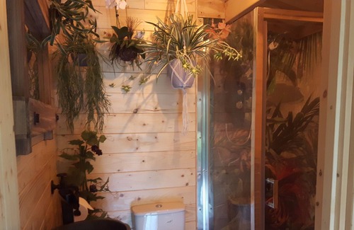 Hatherton Cabin | cabin set in a beautiful romantic tropical garden