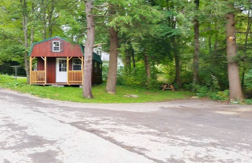 Mount Storm Apartment | Cabin Z at Abrams Creek