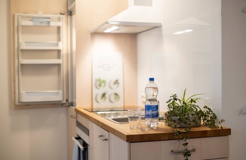 Rosenhugel Apartment | Cabinets & chewing; Apartment with Ruhrpott charm