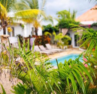 Nungwi Hotel | Cactus lodge Zanzibar