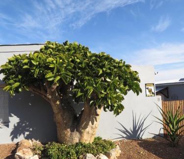Caledon Apartment | Caledon Protea Cottage