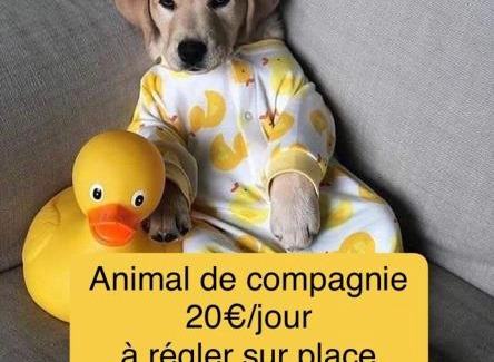 Morieres-les-Avignon House | Calme et Intimité proche Avignon Piscine options au choix privée ou partagée de juin à octobre