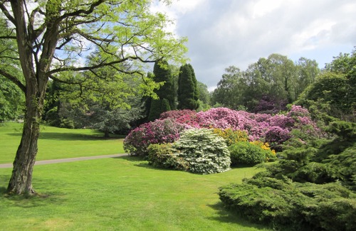 Newcastle-Under-Lyme Cottage | Camp Hill. Charming Cottages in Secluded Grounds of Historic Private Estate