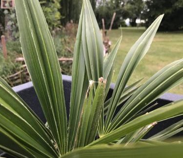 Les Fosses Bed & Breakfast | Campagn'Art