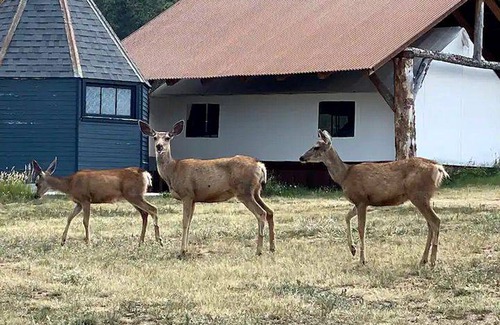 Indian Hills Other | Camping ∙ 1 bedroom ∙ 2 guests
