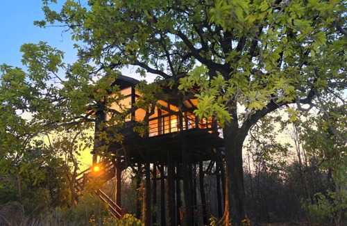 Kohka Other | Camping ∙ 1 bedroom ∙ 2 guests