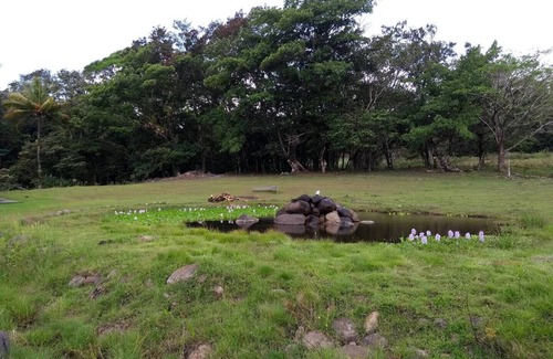 Piedras RV Rental | Camping and parking area for your motor home 6