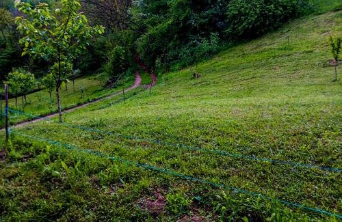 Vata de Jos Other | Camping Ciungani