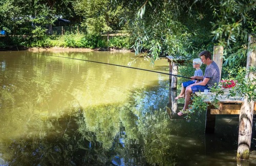 Brissac-Quince House | Camping de l'Etang Sites and Landscapes * - Cottage Classic Rent 2 ch. 4 persons