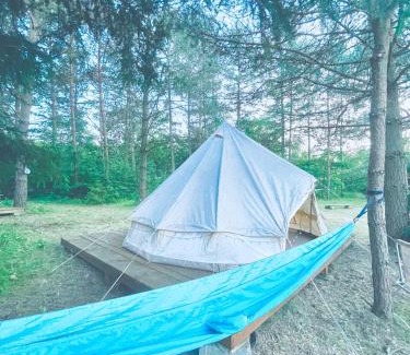 Przywidz Other | Camping Ekologiczny Koziołeczek