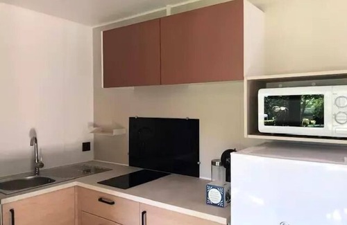 Aizenay House | Camping La Forêt * - Mobile home Cahita Privilège 2 Rooms 2 People Air Conditioned