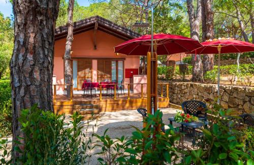 Lacona Resort | Camping Lacona Pineta