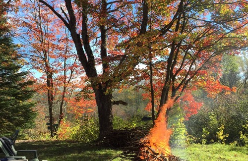 Petoskey RV Rental | camping on private property, feet from river, peaceful setting, lots of nature