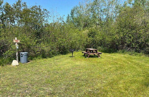 Petoskey RV Rental | camping on private property, feet from river, peaceful setting, lots of nature