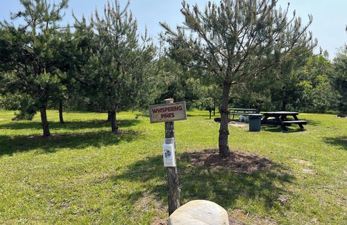 Petoskey RV Rental | camping on private property, feet from river, peaceful setting, lots of nature