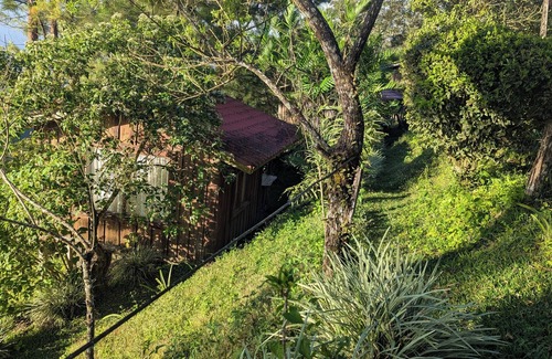 Sierra Cabin | Campos de Oro Wilderness Lodge near to Monteverde Cloud Forest