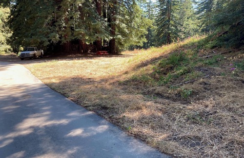Los Gatos RV Rental | Campsite #8 with hot water shower in 45acre Redwood Mountain Retreat