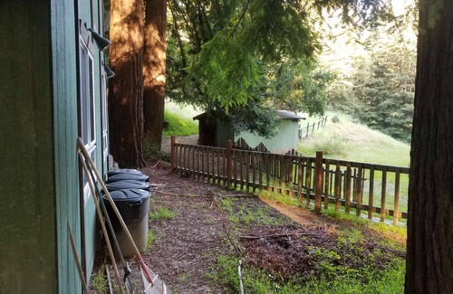 Los Gatos RV Rental | Campsite #8 with hot water shower in 45acre Redwood Mountain Retreat