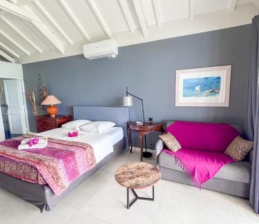 Grand Case House | Carribbean Hill - Stunning View and infinity pool