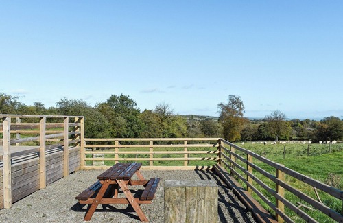 Felinfach Cottage | Cartws Blaenparc Coach House - UK41031