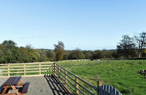 Felinfach Cottage | Cartws Blaenparc Coach House - UK41031