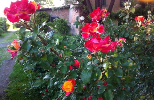 Soliera Bed & Breakfast | Casa a Soliera