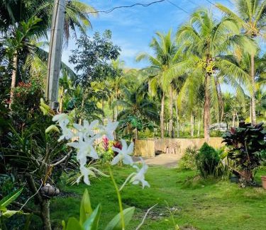 Carmen Bed & Breakfast | CASA AGUELO Chocolate Hills