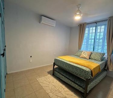 Mazatlan House | CASA ALAMEDA AMAPA