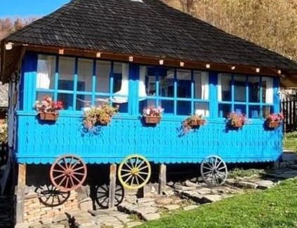 Baile Olanesti Cabin | Casa Albastră