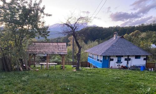 Baile Olanesti Cabin | Casa Albastră