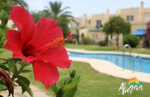 Vista de los Angeles-Rumina Apartment | Casa Alegria Mojacar