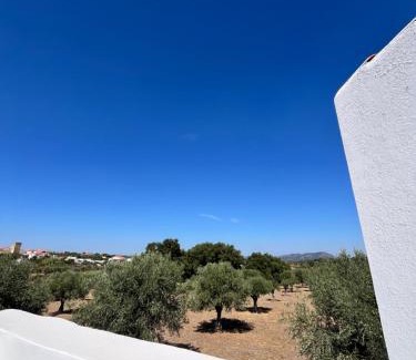 Nisa House | Casa Alentejana - Casa Olival