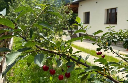 Corbi House | Casa Ana Corbșori