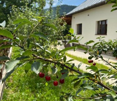 Corbi House | Casa Ana Corbșori